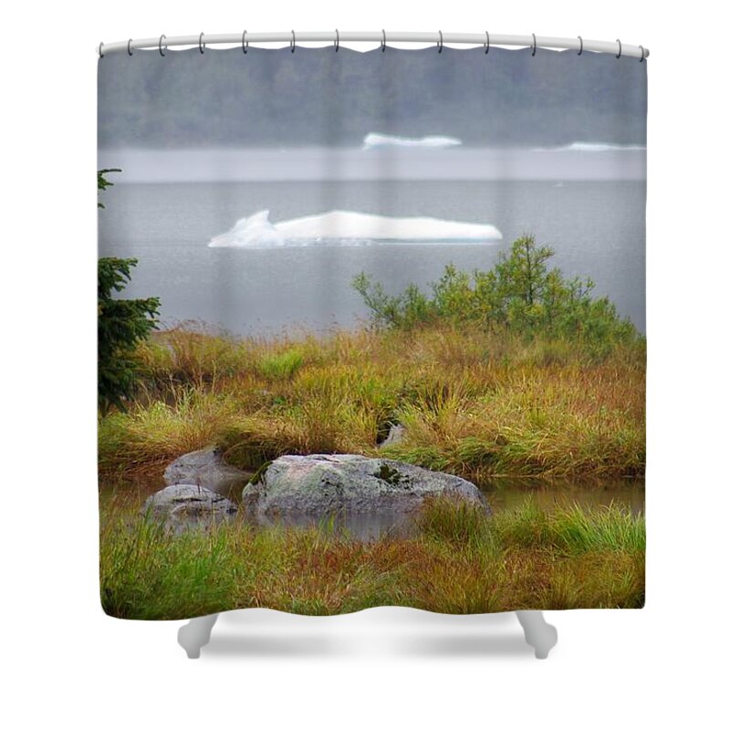 Iceberg Shower Curtain featuring the photograph Slowly Floating By by Marilyn Wilson