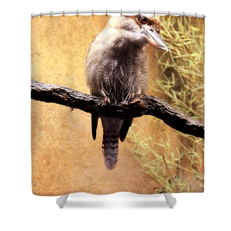 Animals Shower Curtain featuring the photograph Small Bird by Mike Dunn