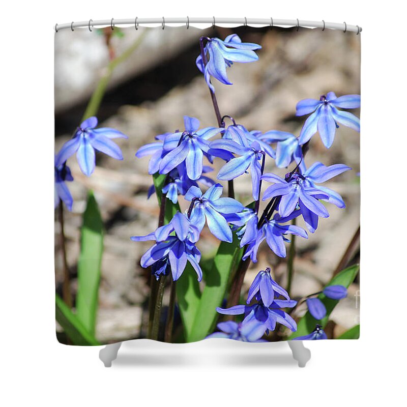 Tropical-flower Shower Curtain featuring the photograph Small Tiny Purple Flowers in a Garden by DejaVu Designs