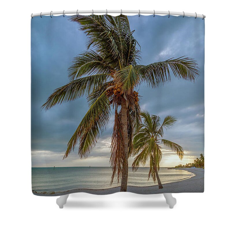 Designs Similar to Smathers Beach Coconut Sunset
