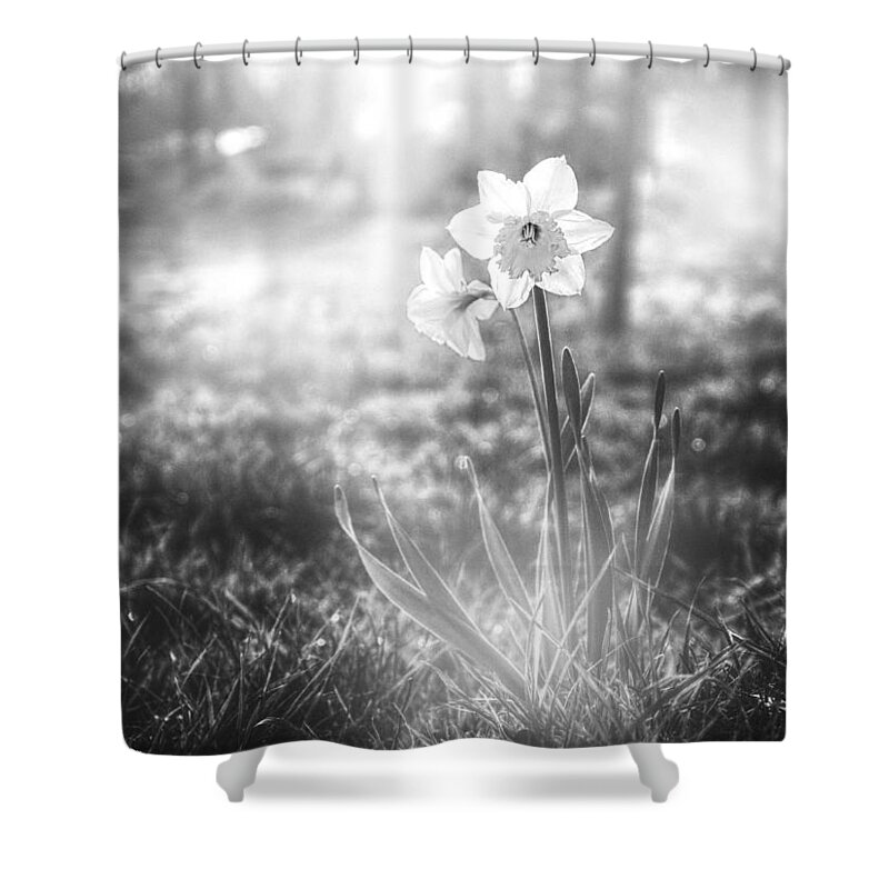 Daffodil Shower Curtain featuring the photograph Smell of the March by Jaroslav Buna