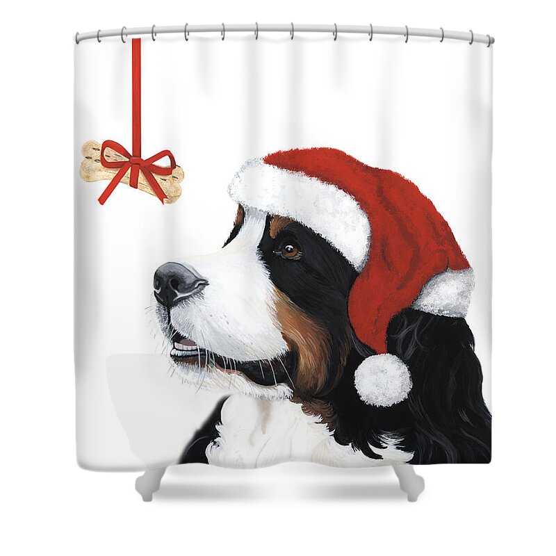 Bernese Mountain Dog Shower Curtain featuring the painting Smile its Christmas by Liane Weyers