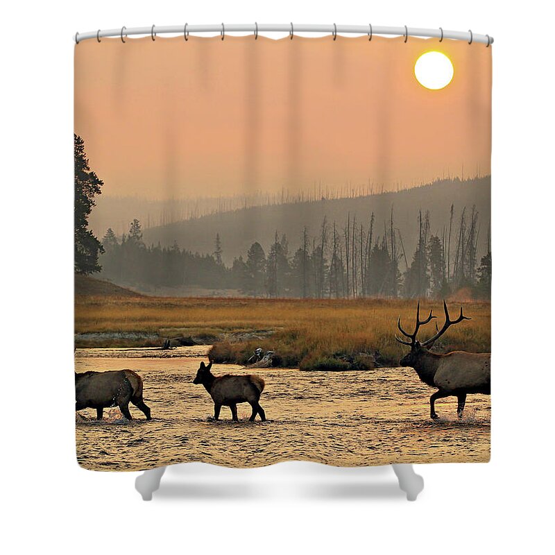 Elk Shower Curtain featuring the photograph Smokey Elk Crossing by Wesley Aston