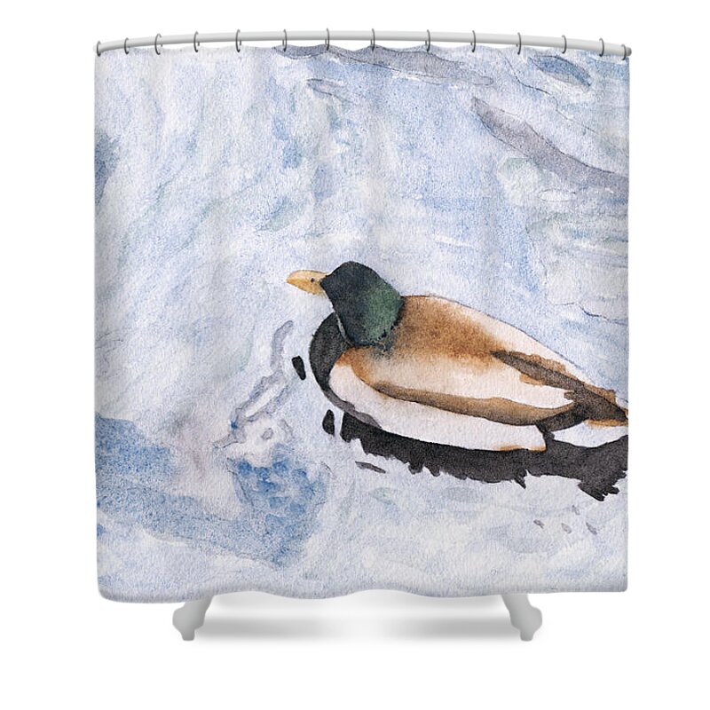 Watercolor Shower Curtain featuring the painting Snake Lake Duck Sketch by Ken Powers