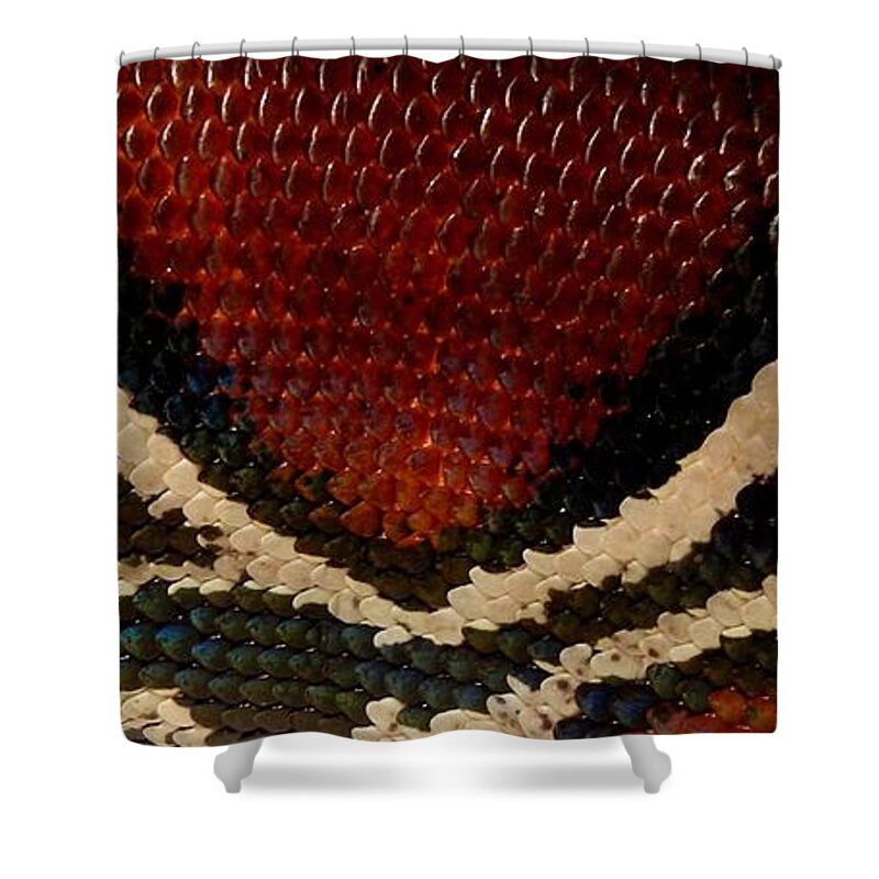 Snake Shower Curtain featuring the photograph Snake's Scales by KD Johnson