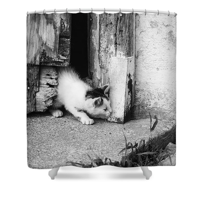 Jay Stockhaus Shower Curtain featuring the photograph Sneak Attack by Jay Stockhaus