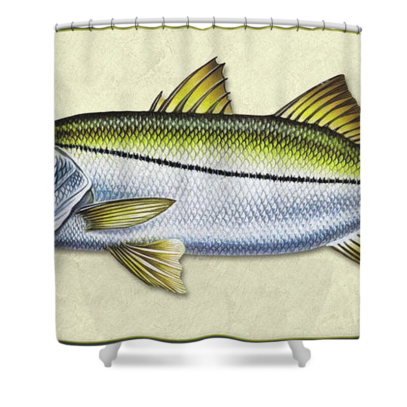 Jon Q Wright Snook Ocean Saltwater Gamefish Fishing Fish Print Fish Poster Lure Tackle Shower Curtain featuring the painting Snook ID by Jon Q Wright