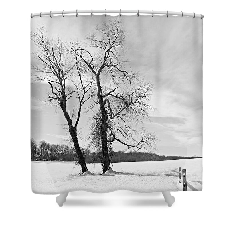 Richard Reeve Shower Curtain featuring the photograph Snow and Trees by Richard Reeve