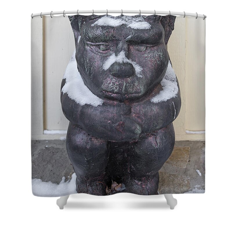 Chimera Shower Curtain featuring the photograph Snow Covered Chimera by D K Wall