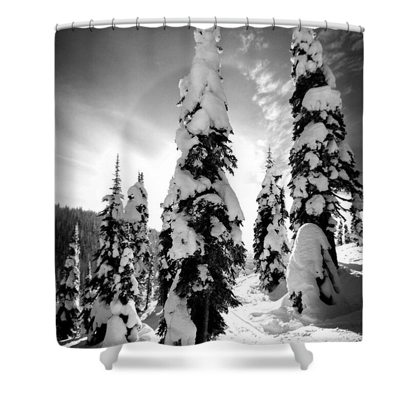 Tree Shower Curtain featuring the photograph Snow Laden Tree by Jedediah Hohf