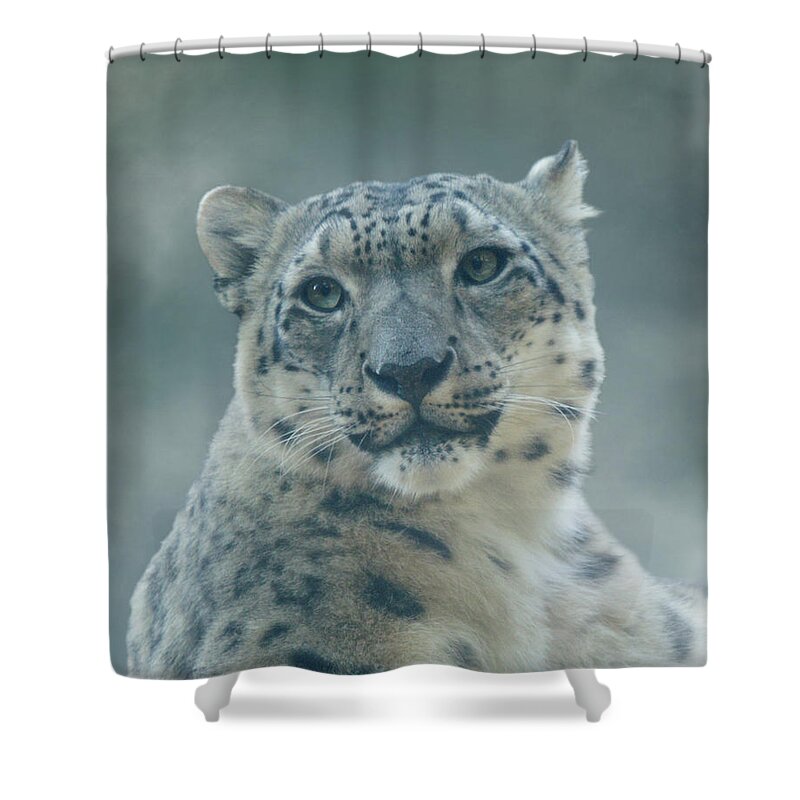 Snow Leopard Shower Curtain featuring the photograph Snow Leopard Portrait by Sandy Keeton