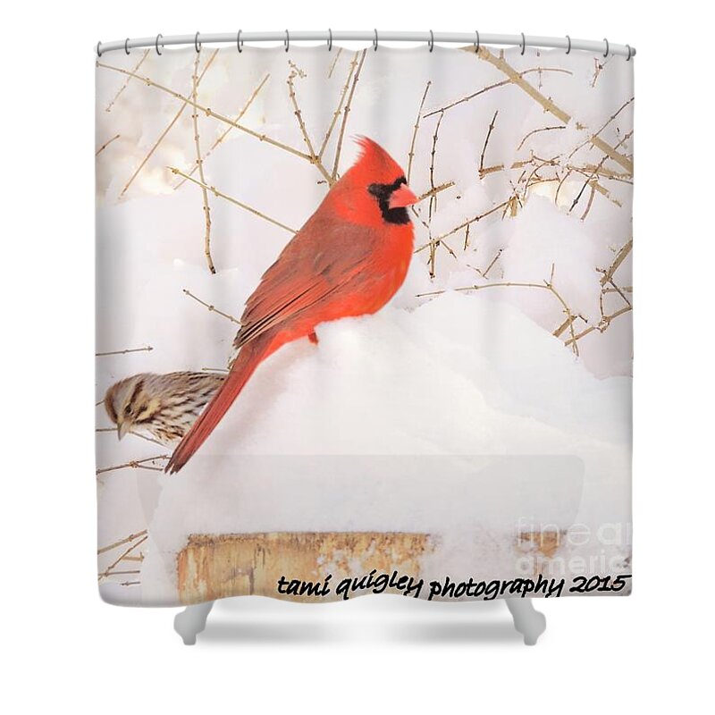 Birds Shower Curtain featuring the photograph Snow Mates by Tami Quigley