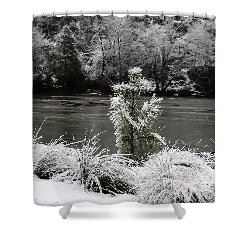 River Shower Curtain featuring the digital art Snow on Greens by Kathleen Illes