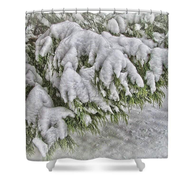 Victor Montgomery Shower Curtain featuring the photograph Snow On The Pine by Vic Montgomery