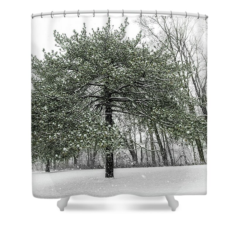 Background Shower Curtain featuring the photograph Snow Tree Along The Maumee River by Michael Arend