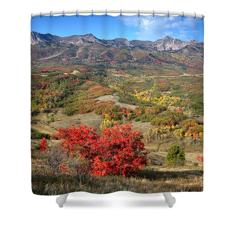 Snowbasin Shower Curtain featuring the photograph Snowbasin and Autumn Colors by Brett Pelletier