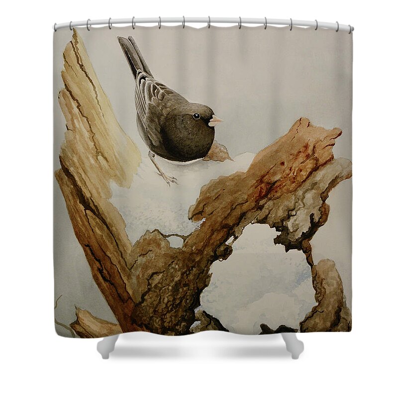 Bird Shower Curtain featuring the painting Snowbird by Charles Owens
