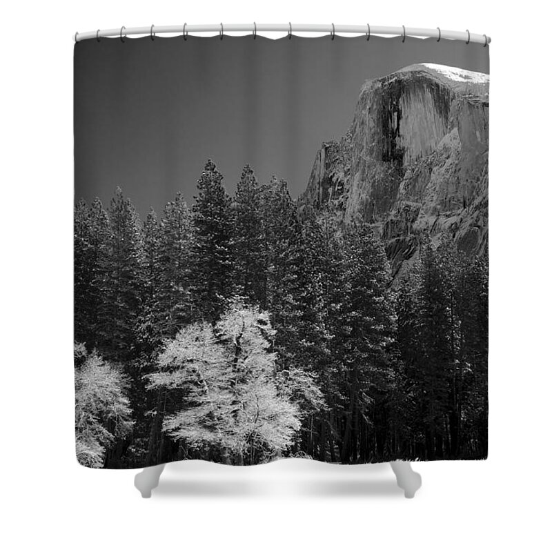 Tree Shower Curtain featuring the photograph Snowcapped Half Dome Yosemite National Park by Lawrence Knutsson