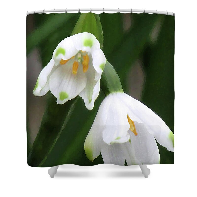 Snowdrops Shower Curtain featuring the photograph Snowdrops #4 by Kim Tran