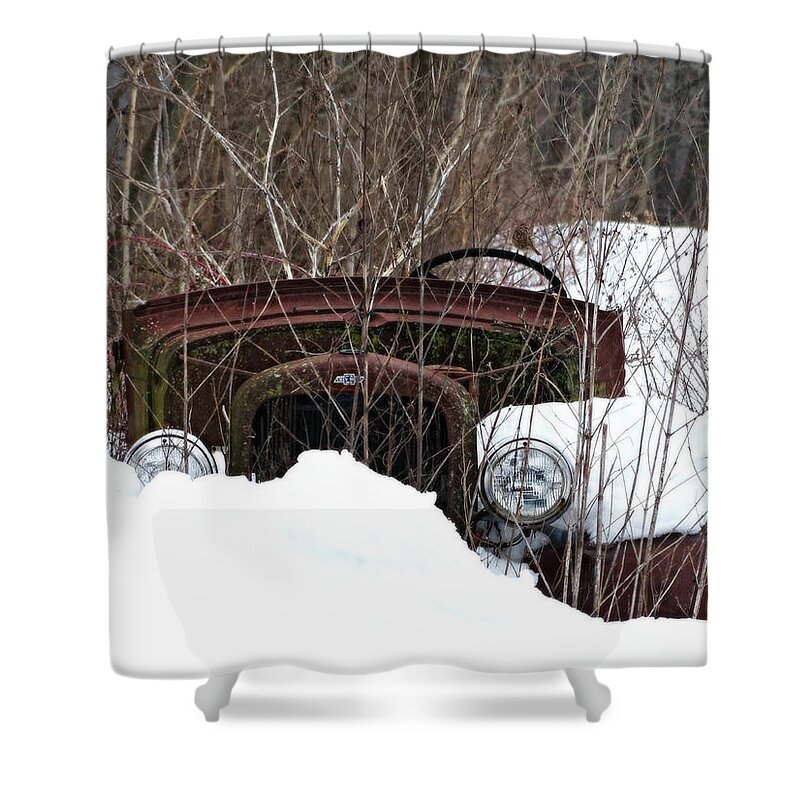 Snowed In 2 Shower Curtain featuring the photograph Snowed In 2 by Dark Whimsy