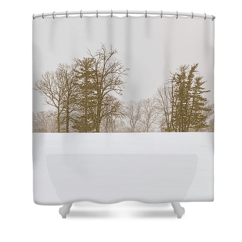 Snowfall Shower Curtain featuring the photograph Snowfall - by Julie Weber