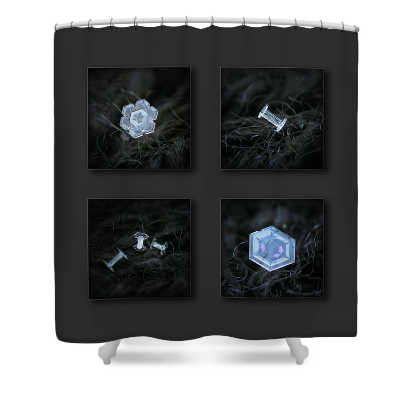 Snowflake Shower Curtain featuring the photograph Snowflake collage - 29 January 2018 by Alexey Kljatov