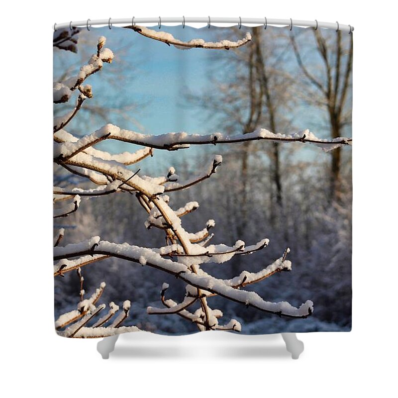 Snow Shower Curtain featuring the photograph Snowy Branches by Brian Eberly