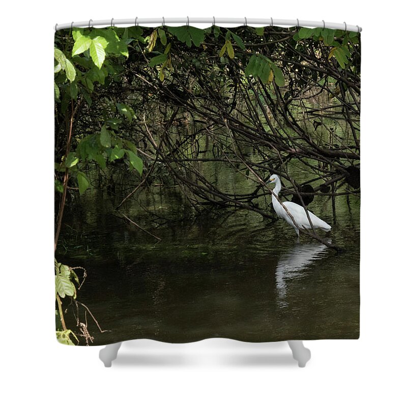 Egret Shower Curtain featuring the photograph Snowy Egret by Jessica Levant