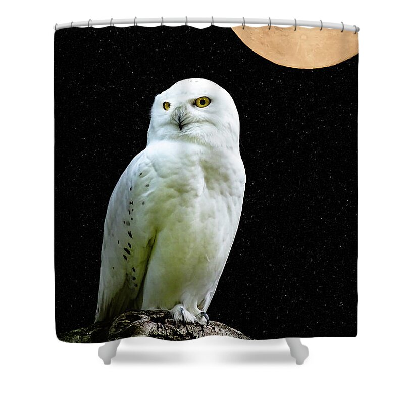 Snowy Owl Shower Curtain featuring the photograph Snowy owl Under the Moon by Scott Carruthers