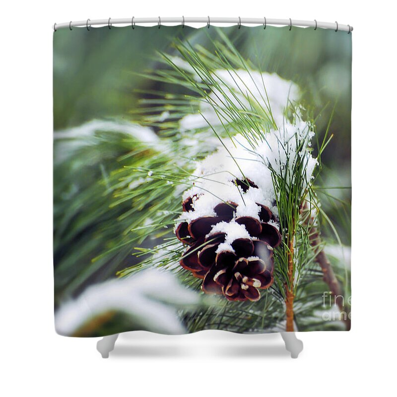 Pine Cone Shower Curtain featuring the photograph Snowy Pine Cone by Kerri Farley