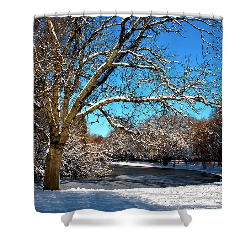 Landscape Shower Curtain featuring the photograph Snowy Pond by Baggieoldboy