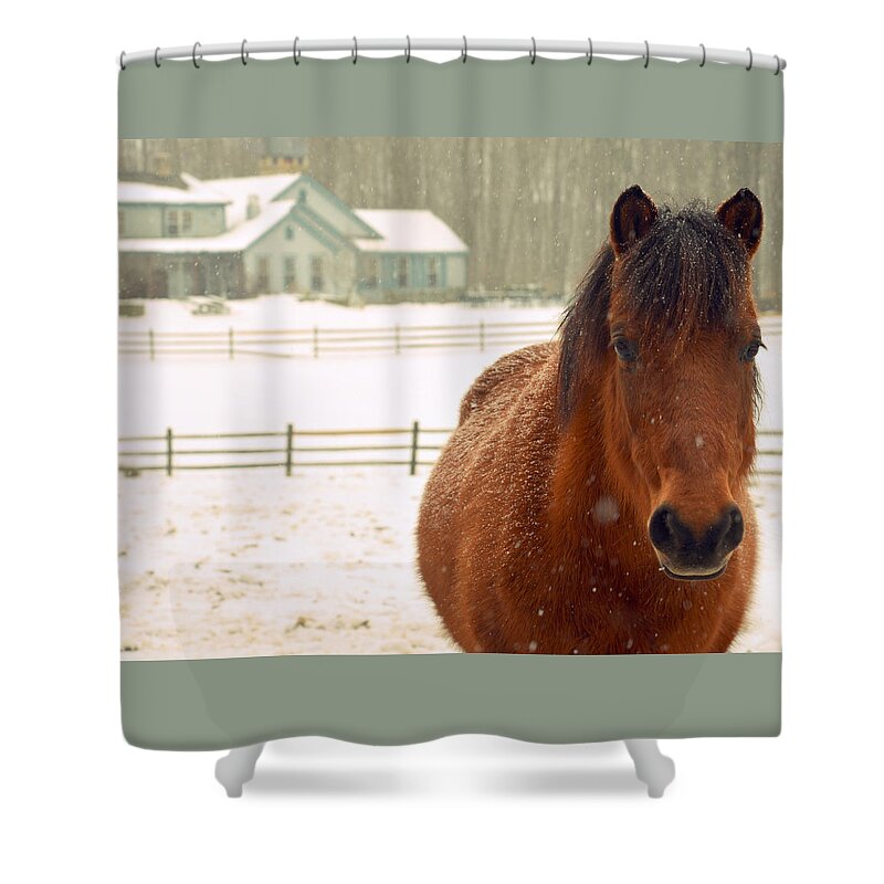 Horse Shower Curtain featuring the photograph Horse #1 by Marysue Ryan