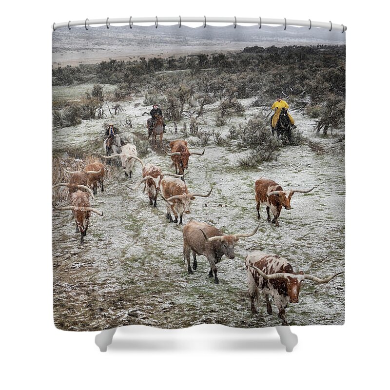 Longhorns Shower Curtain featuring the photograph Snowy River by Pamela Steege