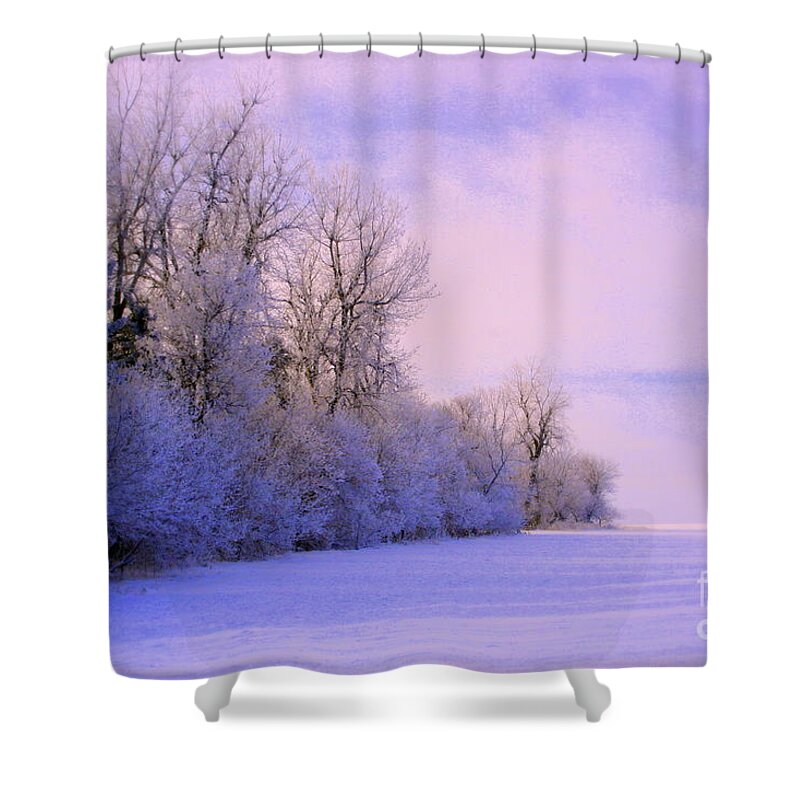 Snowy Day Shower Curtain featuring the photograph Snowy Sunday by Julie Lueders 