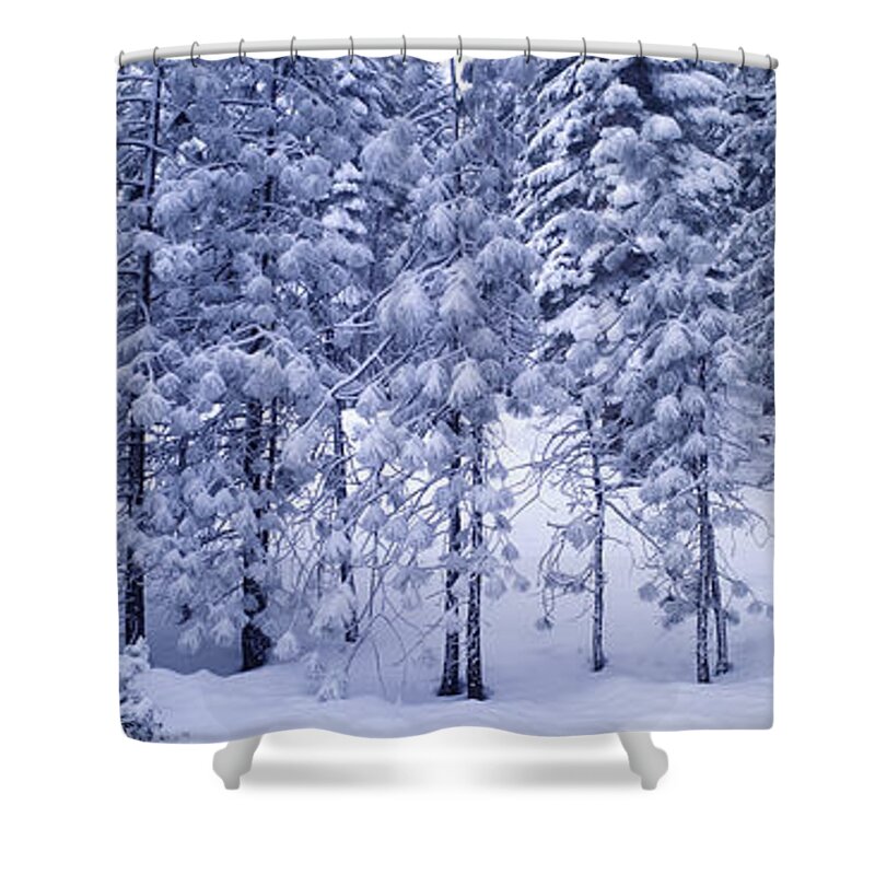 Snow Shower Curtain featuring the photograph Snowy Woods by Wernher Krutein