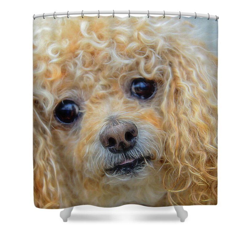 Snuggles Shower Curtain featuring the photograph Snuggles by Steven Richardson