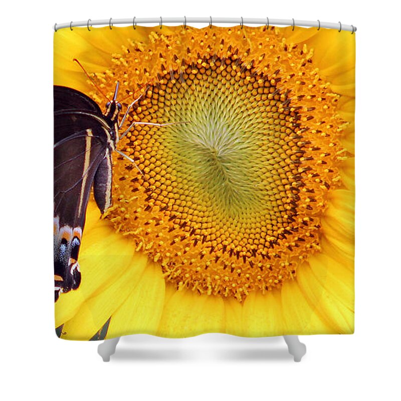 Flower Shower Curtain featuring the photograph So Good by DB Hayes