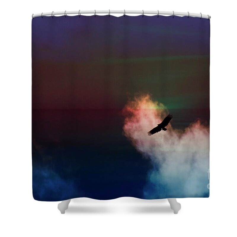 Buzzard Shower Curtain featuring the photograph Soaring, Soaring by Al Bourassa