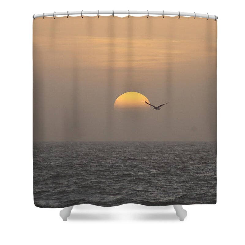 Animals Shower Curtain featuring the photograph Soaring Through Sunrise by Robert Banach