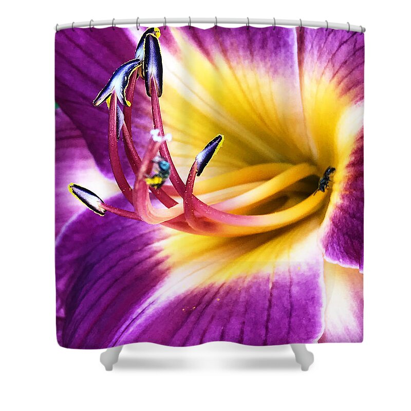 Art Shower Curtain featuring the photograph Social emotions by Jeff Iverson