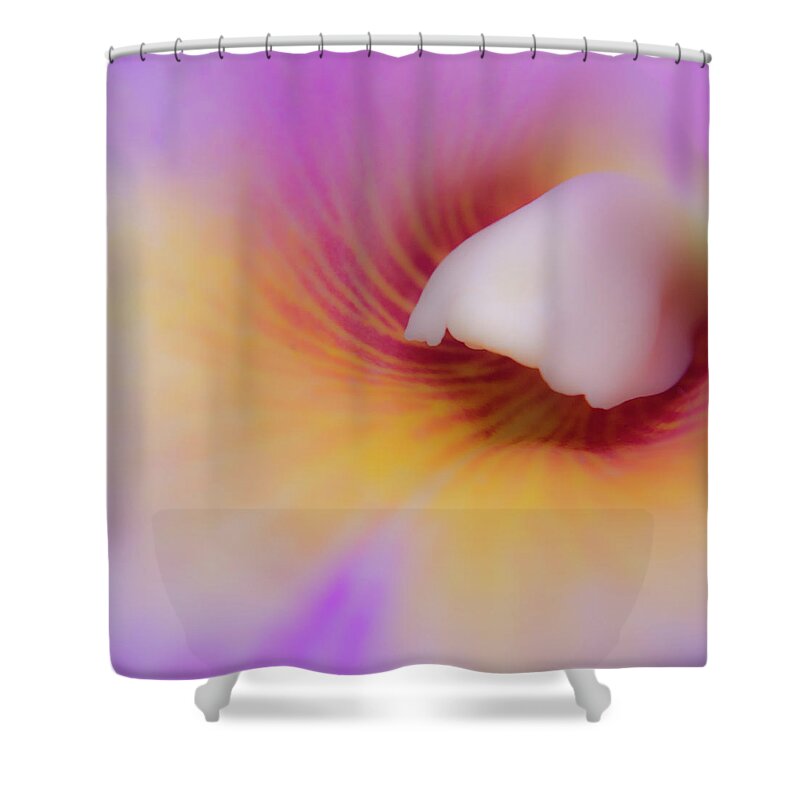 Cleveland Shower Curtain featuring the photograph Soft Focus by Stewart Helberg
