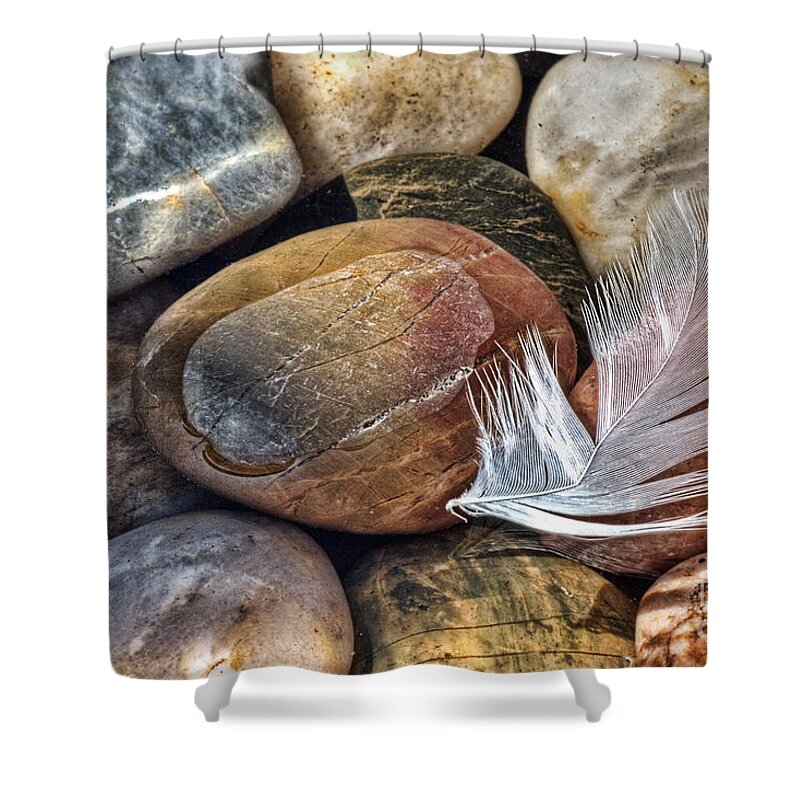 Stone Shower Curtain featuring the photograph Soft Landing by John Edwards