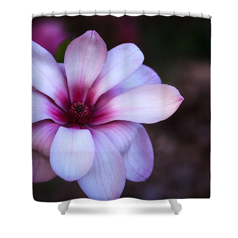 Illinois Shower Curtain featuring the photograph Soft Pink Magnolia by Joni Eskridge