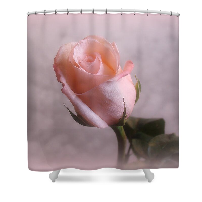 Flowers Shower Curtain featuring the digital art Soft Pink Rose by Sandy Keeton