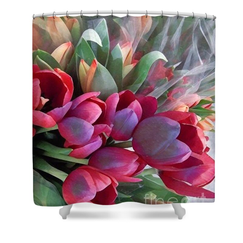 Card Shower Curtain featuring the photograph Soft Reds of Spring - Tulips by Miriam Danar