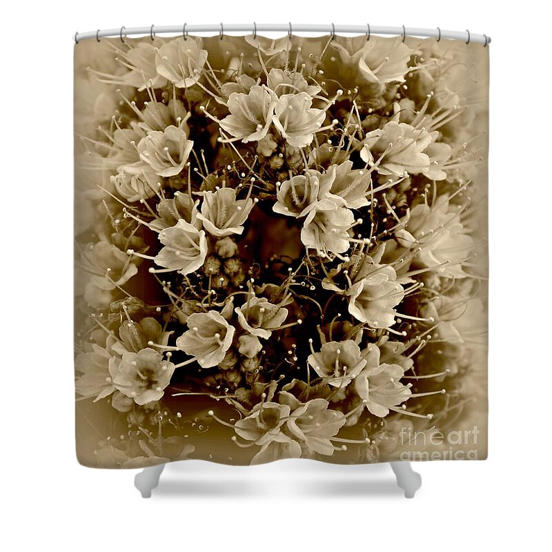 Pride Of Madeira Shower Curtain featuring the photograph Soft Sepia by Clare Bevan