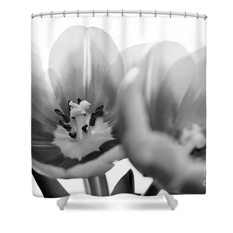 Digital Photography Shower Curtain featuring the photograph Soft whispers by Afrodita Ellerman