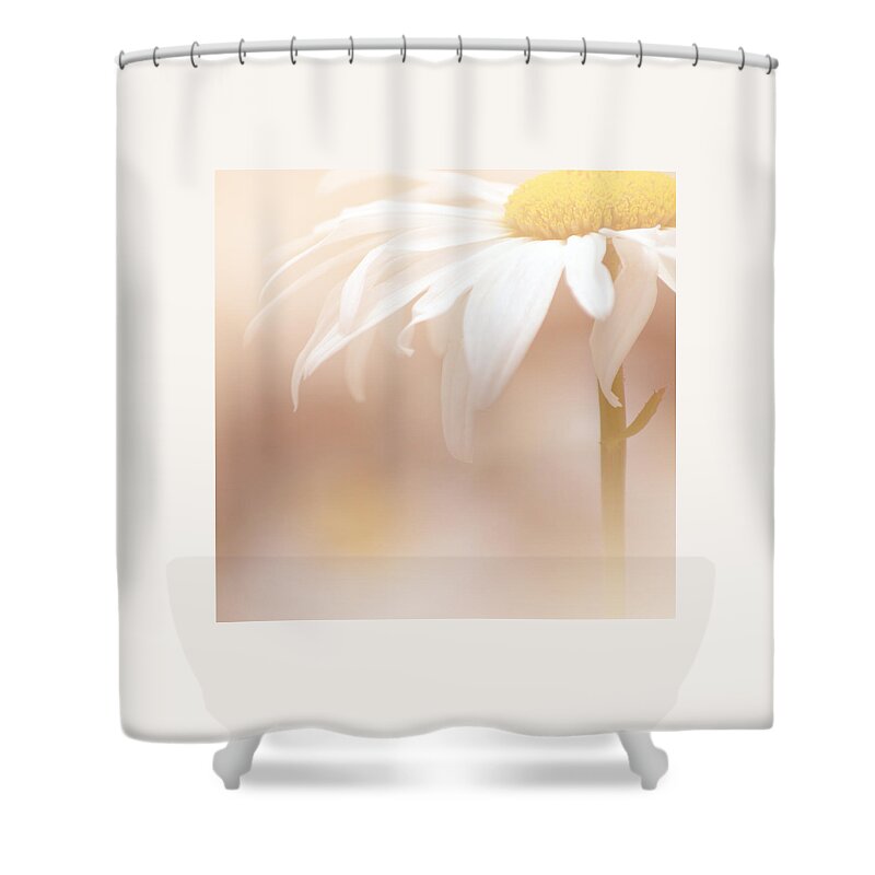 Art Shower Curtain featuring the photograph Soft White Daisy1 by Joan Han