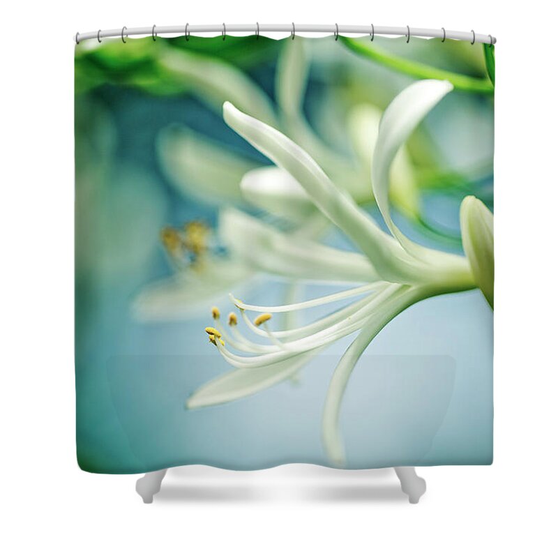 Soft Shower Curtain featuring the photograph Soft White by Nailia Schwarz