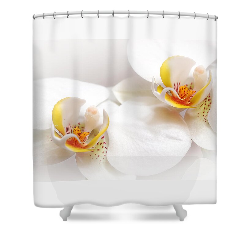 Soft White Orchid Shower Curtain featuring the photograph Soft White Orchid Pair by Gill Billington